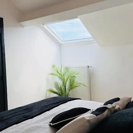 Design In Daire Liège